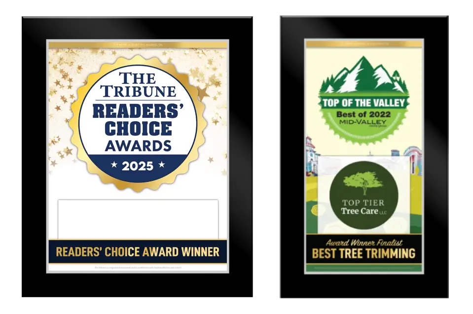 Award plaques showcase